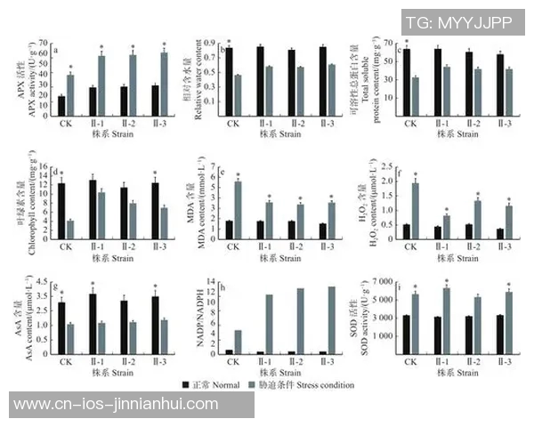 足球运动员拉伤的预防与康复策略探讨及其对比赛表现的影响分析