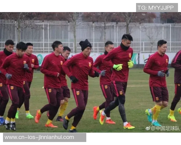 隳足球的魅力与挑战探讨如何在现代社会中重塑这项运动的精神与价值